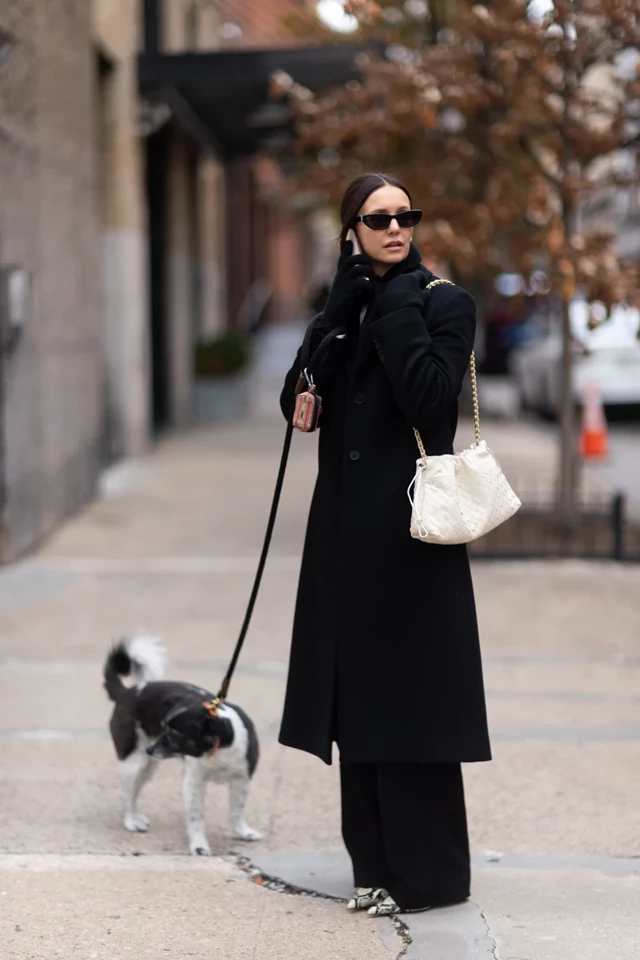 Nina Dobrev Spotted Strolling with Her Dog in Greenwich Village, NYC 11-13-2025